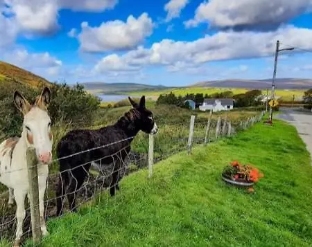 Cozy & Remote Hideaway Gintys Ross Port
