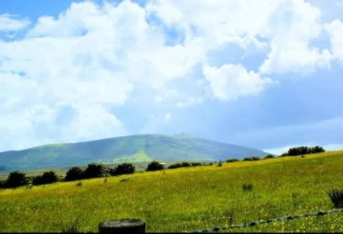 Дом отдыха Cozy & Remote Hideaway Gintys